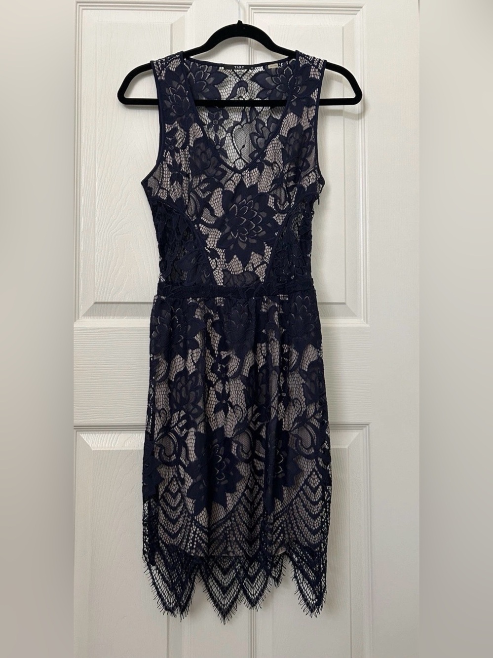 Tart Navy Lace Dress with Nude Lining